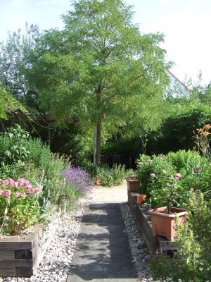 Garten des Mutabor im Stemmerhof mit Baum